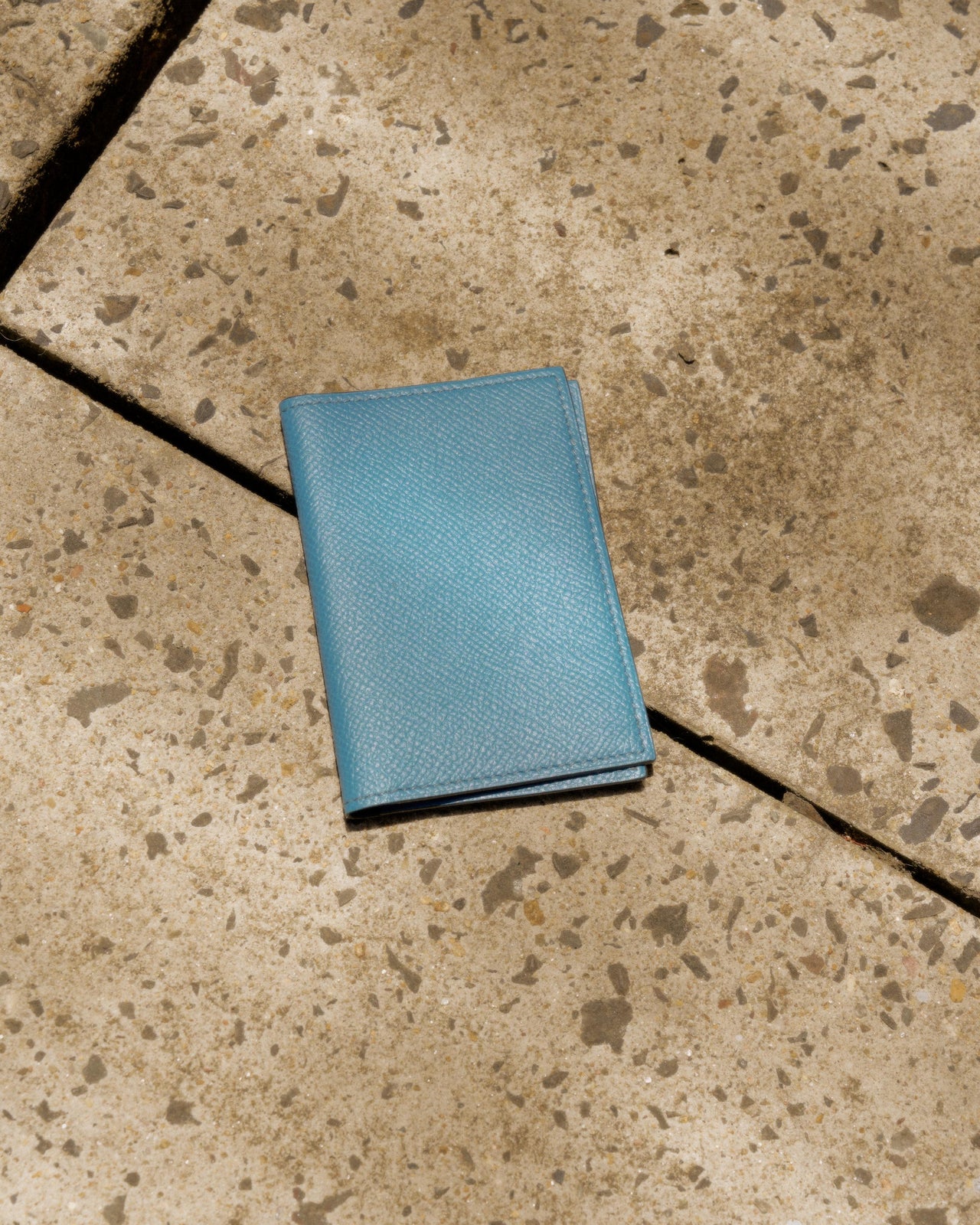 Hermès MC² Euclide jungle cardholder