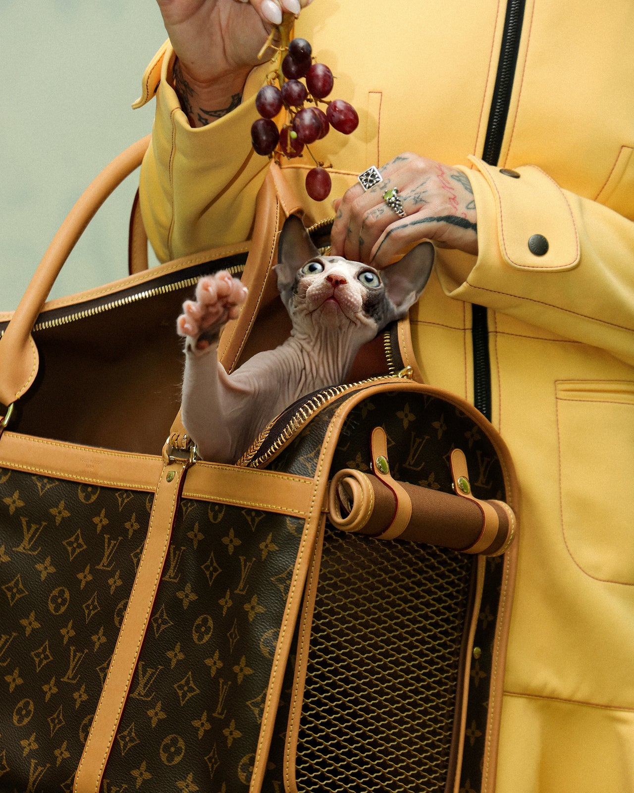 Louis Vuitton 2019 Monogram Sac Chien pet carrier 50