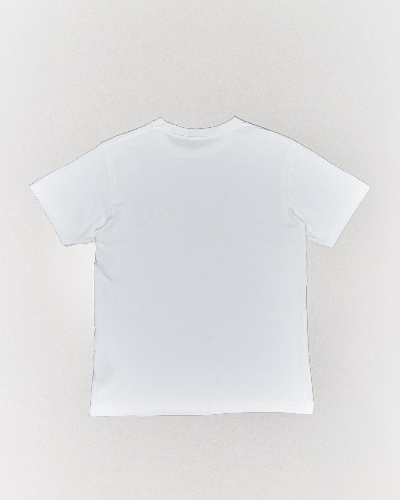 Dior CD embroidered logo heavyweight T-Shirt