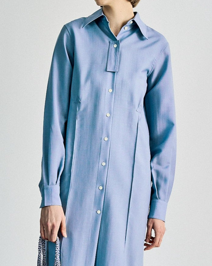 A person wearing a light blue button-up Celine shirt dress with long sleeves and a pointed collar. The dress has a minimalist design, conveying an elegant and formal tone.