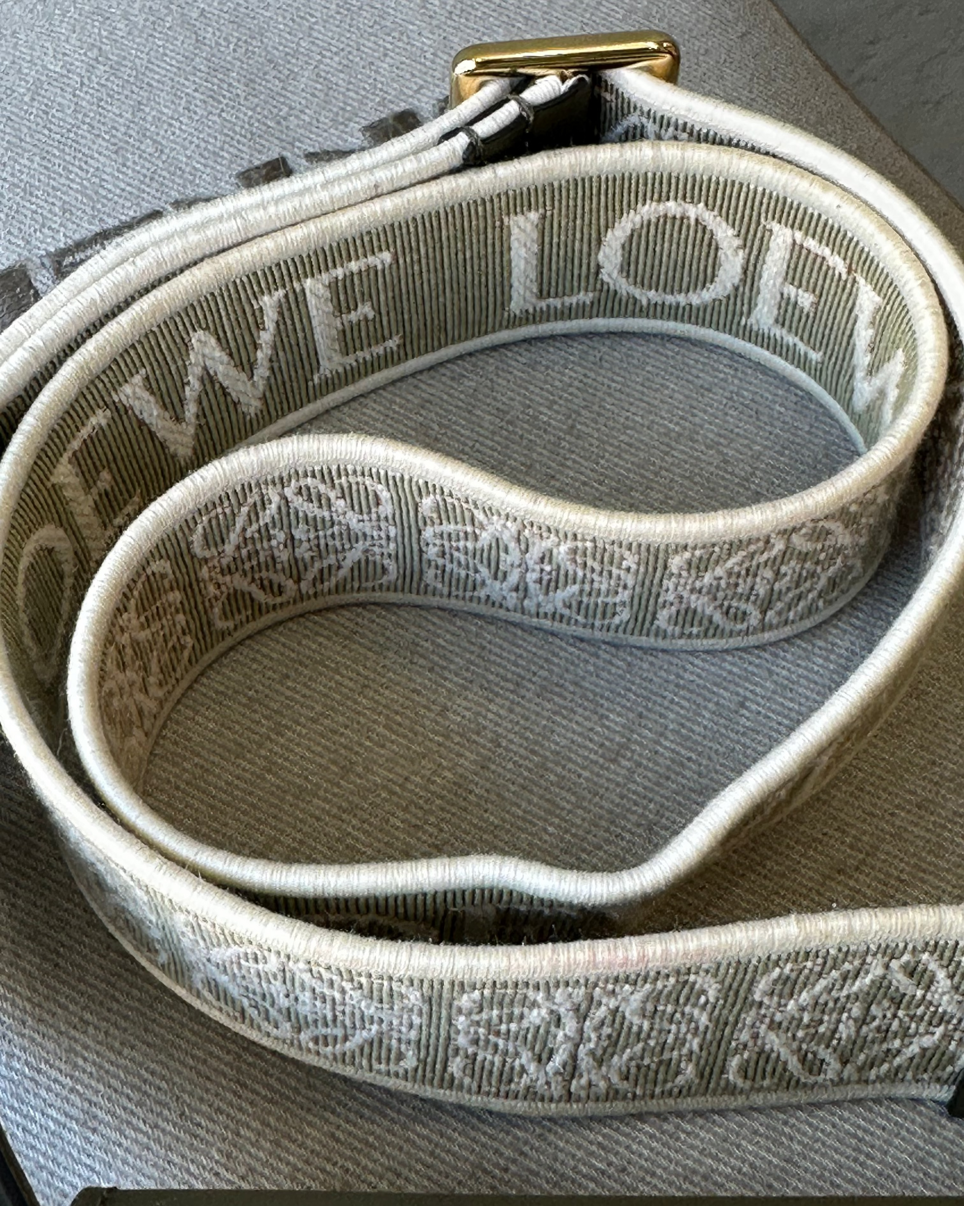 Green belt with 'LOEWE' branding on a gray surface