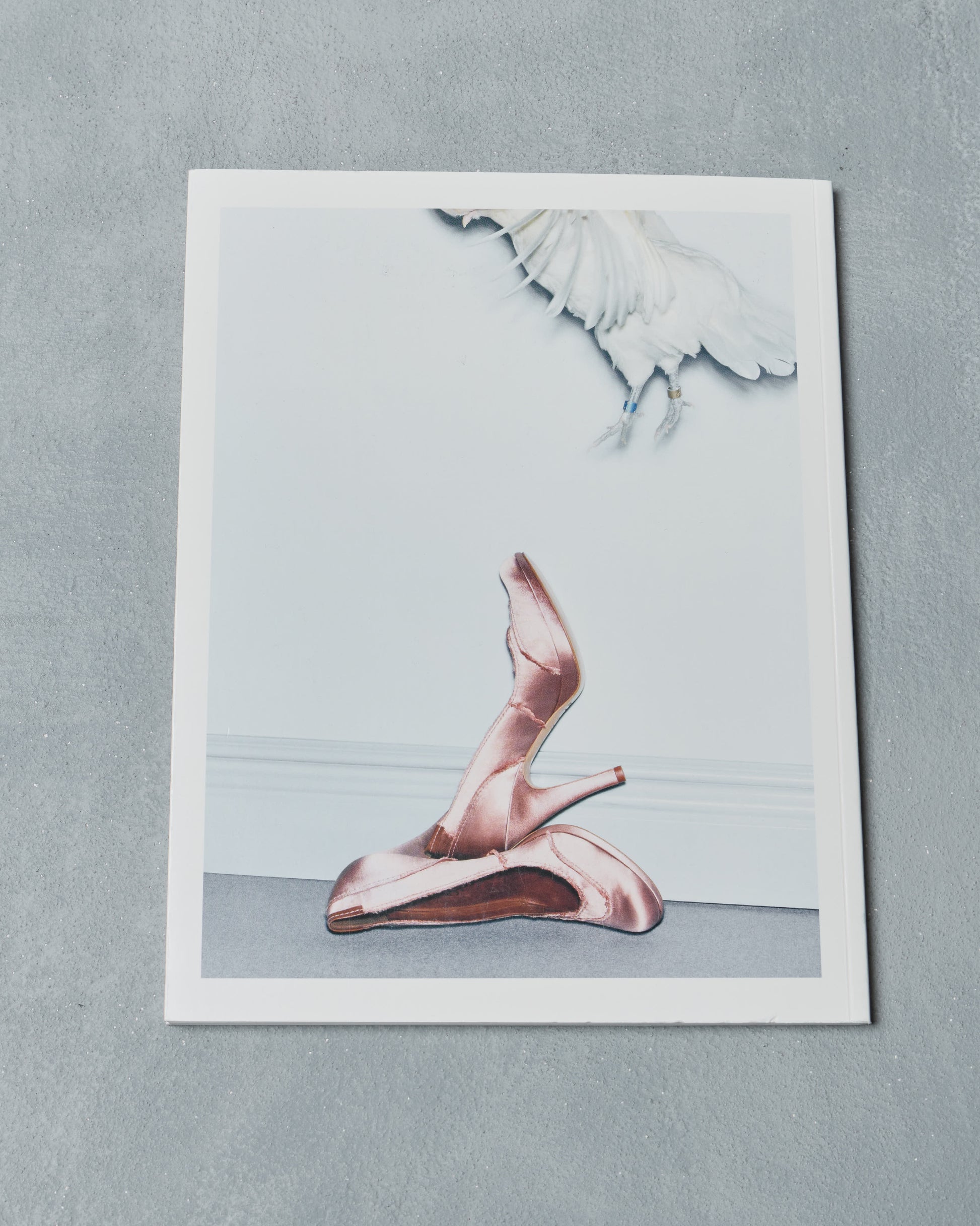 Back of Ppaper Magazine for Raymond Meieier showing a pair of pink high-heeled shoes on a light gray background